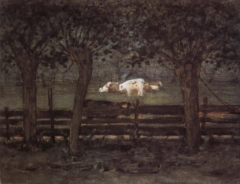 White cow, Piet Mondrian